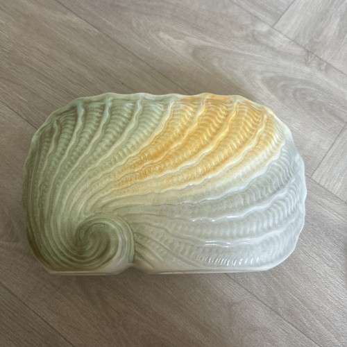Vintage vase nautilus shell - vintage,
