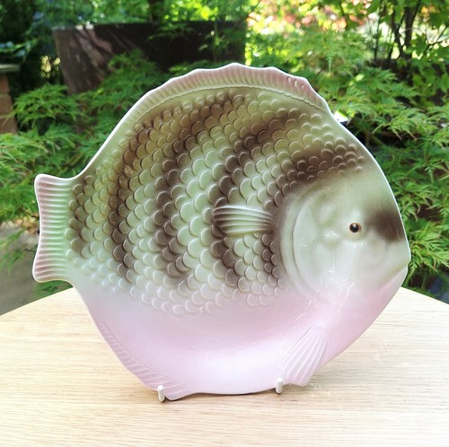Shorter son fish - son, plate