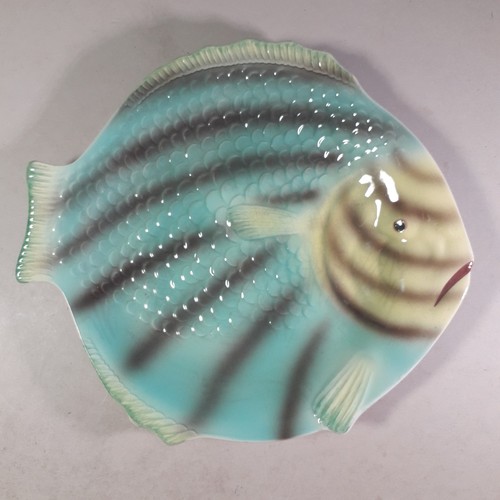 Coloured fish plate shorter - plate,