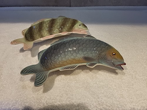 Pair shorter son fish - pair,
