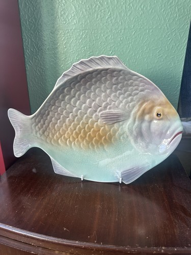 Shorter son fish - son,